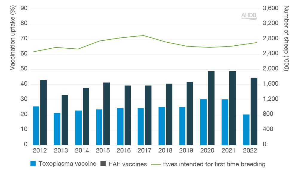Graph illustrating cattle vaccination against toxoplasma and EAE since 2011